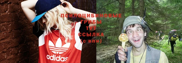 a pvp Алексеевка