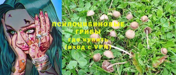 каннабис Алзамай
